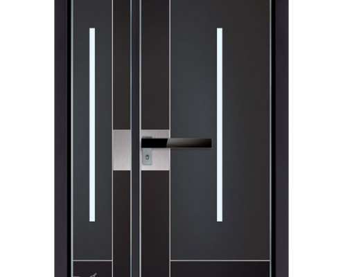 דלתות כניסה D7155