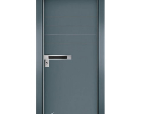 דלתות כניסה D7169