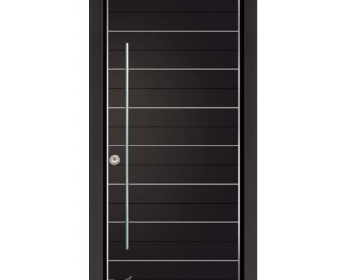 דלתות כניסה D7178