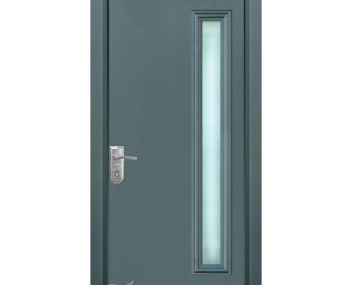 דלתות פלדה D9356