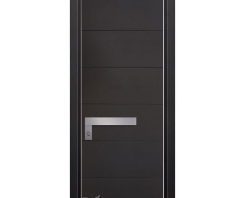 דלתות כניסה D9764