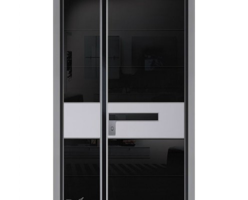 D9781 דלת פלדיניום שחורה