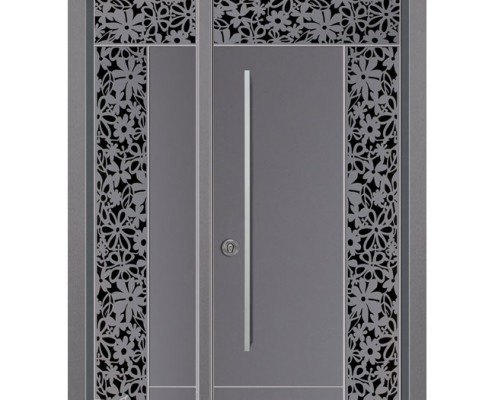 D9791-דלתות כניסה