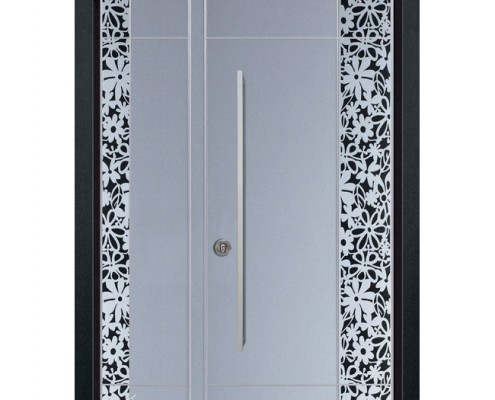 D9795-דלתות כניסה