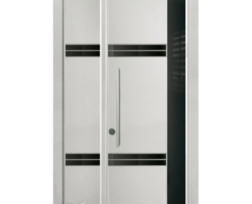 D9801-דלתות כניסה