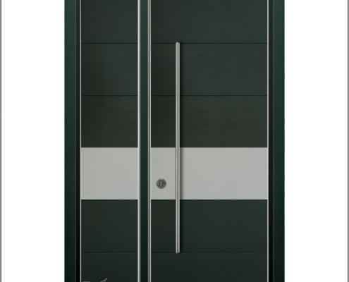 דלתות כניסה D9802