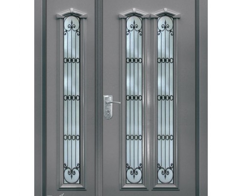 דלת פלדה D9835