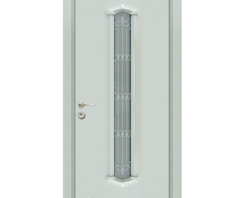 דלתות פלדה D9854