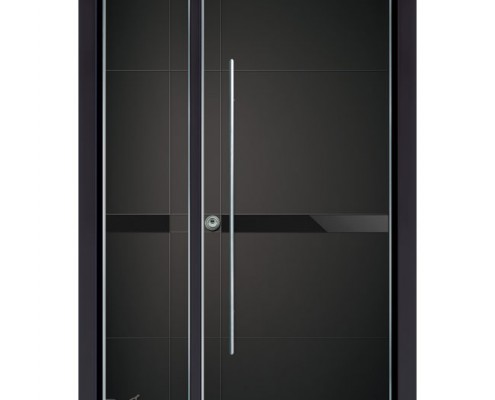 דלתות כניסה D7124