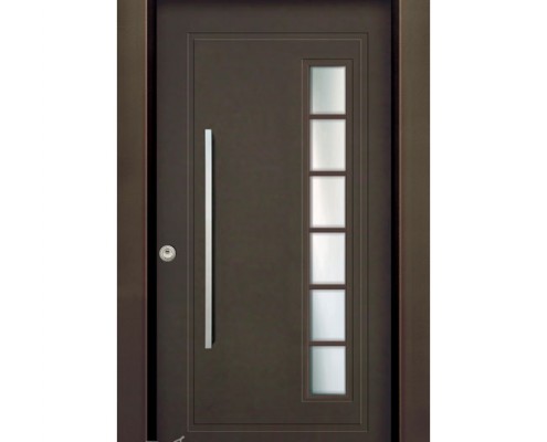 דלתות פלדה D9561