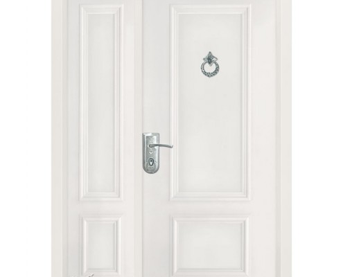 דלתות פלדה D9812