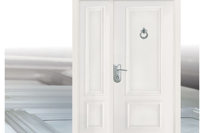 D9812-דלתות פלדה תדמית