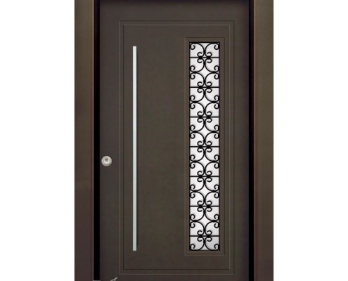 דלתות פלדה D9843