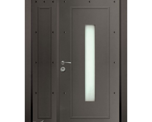 דלתות פלדה D9845