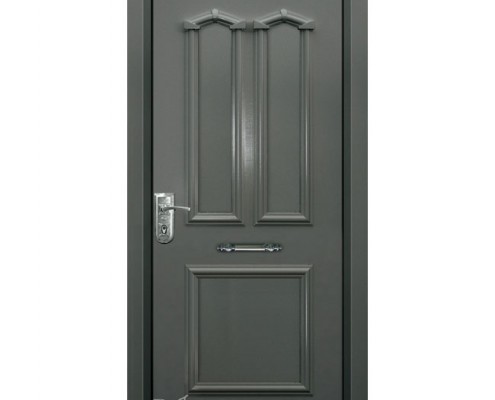 דלתות פלדה D9875