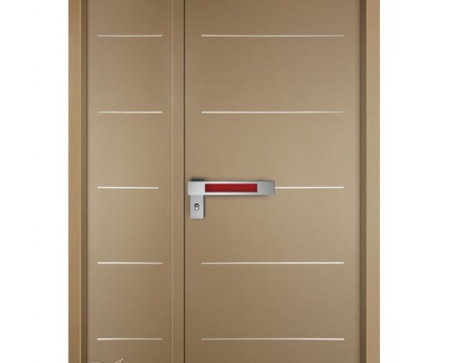 D9891-דלתות פלדה