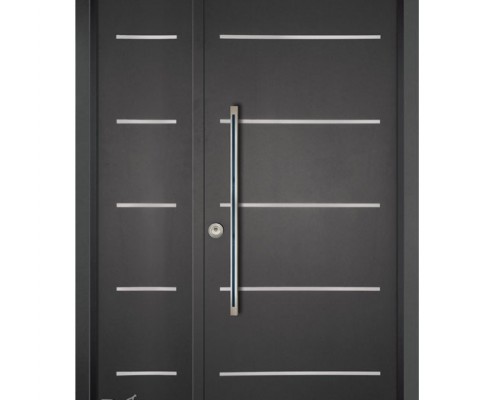 דלתות פלדה D9892